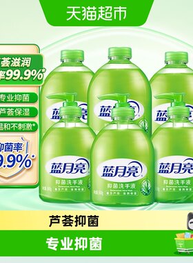 蓝月亮芦荟抑菌温和洗手液