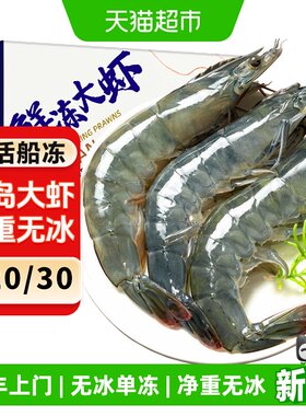 鲜活冷冻无冰青岛大虾