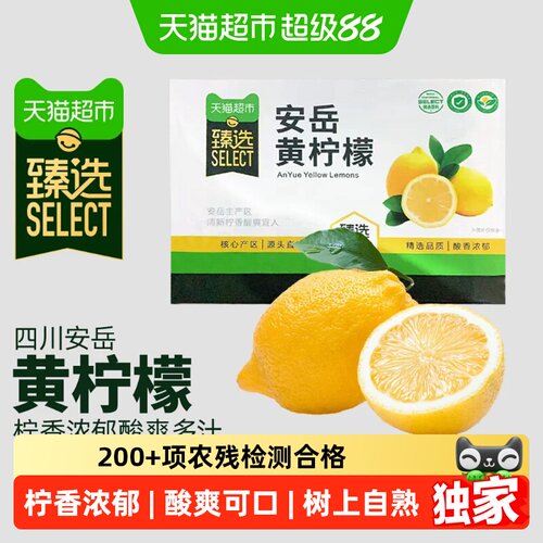 江昊阳安岳黄柠檬当季现摘维C