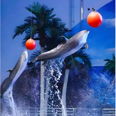 [福州罗源湾海洋世界-大园区通票（海洋世界+动物世界+欢乐世界）]大园区通票|动物世界+海洋世界+欢乐世界
