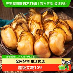 北海印象金蚝干生蚝干牡蛎干带膏精品海鲜干货生蚝肉海产品