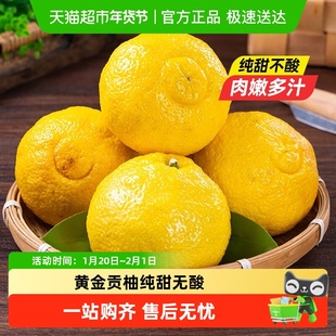 湖南怀化黄金贡柚当季新鲜水果柚子春香桔柚新鲜甜小柚子禾富好