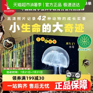 6岁绘本 生命 故事系列全套第12345辑高清写真儿童昆虫百科书2