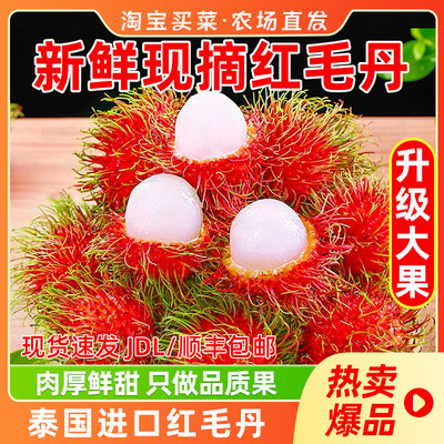 泰国进口红毛丹新鲜水果红毛丹新鲜毛荔枝正宗毛丹果顺丰包邮