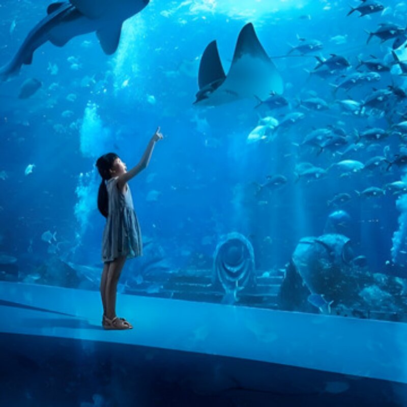 D4天3晚三亚纯玩小团+水族馆+专属用车+一次被宠坏的旅行