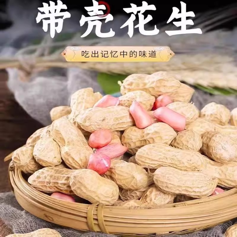 带壳生花生新货薄壳原味粉红皮花生晒干当季新鲜小花生米水煮做种