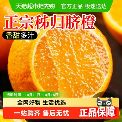 德沃多脐橙新鲜当季水果