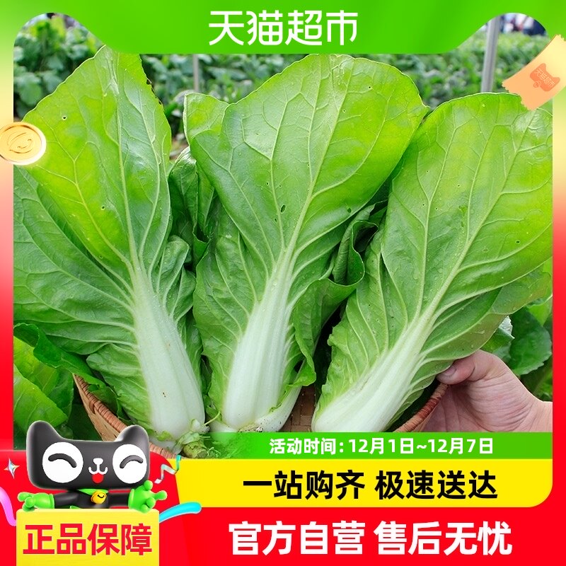 �ٺ��������Ϳ������10g�������߲˲��ֲ����ļ����С�ײ˴�ȫ