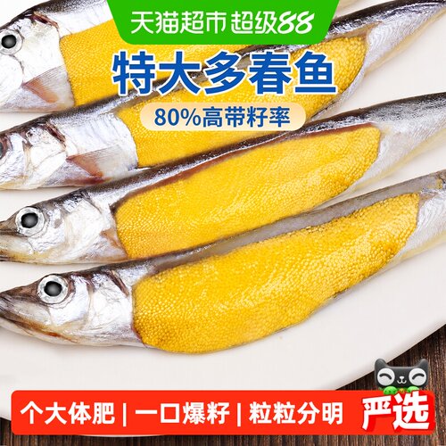 多春鱼新鲜冷冻烧烤火锅高端食材