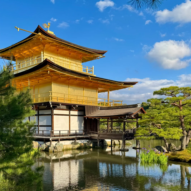 以自然材质与中性色调呈现禅意极简风，落地窗可赏皇居园林或城市天际线 9 楼提供韩式传统男女分浴桑拿与多温度浴池，另有室内泳池与活力池 套餐含每天双人早餐，送酒店消费券 享VIP礼遇，提前入住延迟退房、免费升级房间、生日布置等