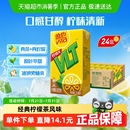 维他柠檬茶真茶真柠檬茶饮料聚餐 新老包装 随机发货