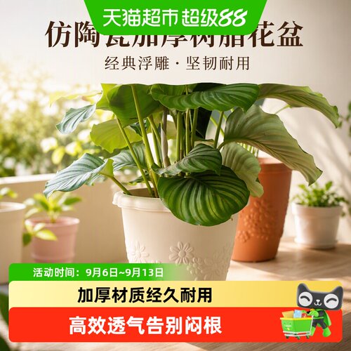 爱丽思加厚浮雕花盆透气性好