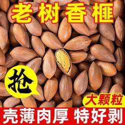 新货香榧诸暨特产坚果易剥嵊州香榧子大颗粒250g含罐休闲零食散装