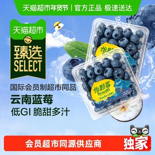 【臻选】Driscolls怡颗莓云南蓝莓大果低GI脆甜多汁当季新鲜水果