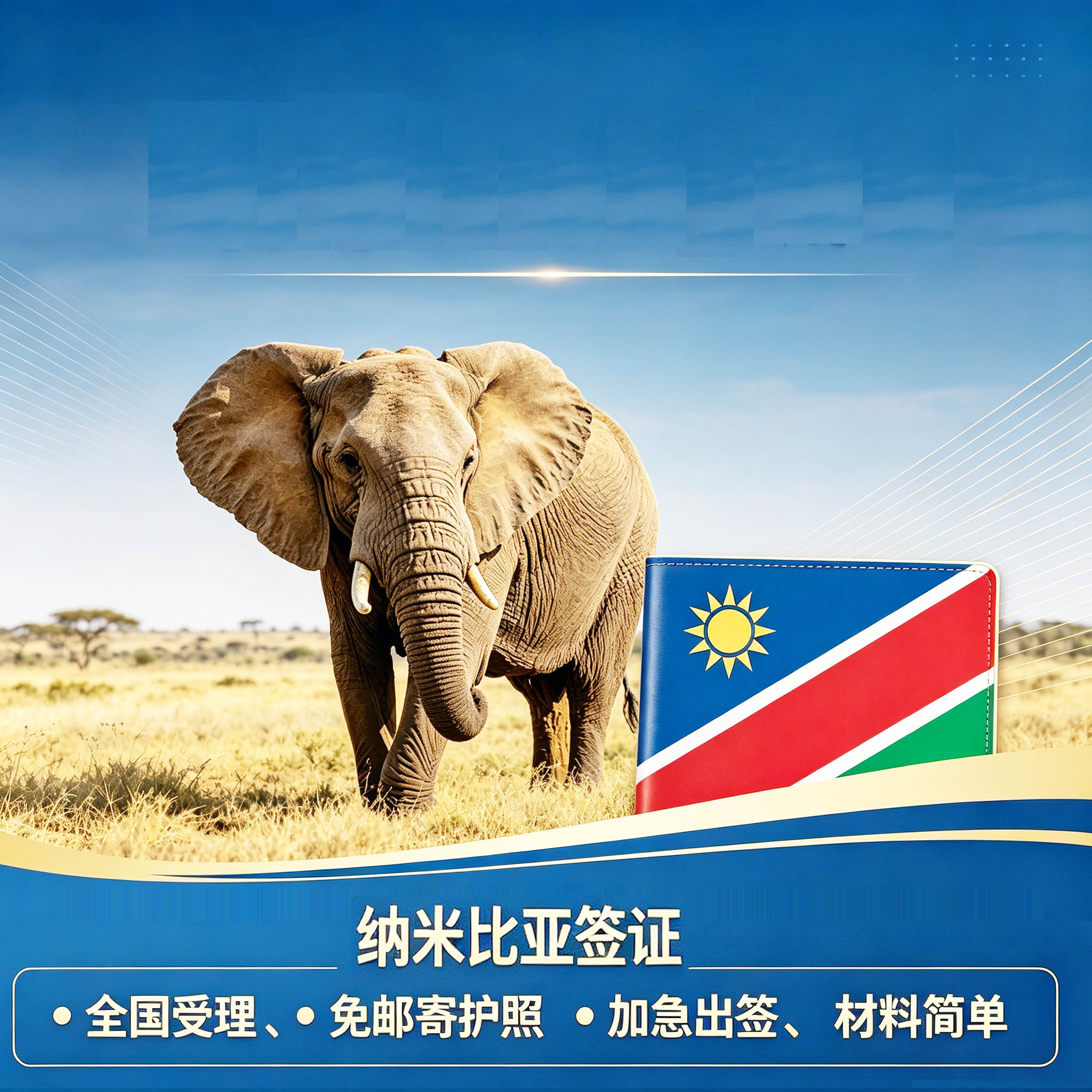 纳米比亚签证加急特急电子签证旅游商务签证探亲签证加急
