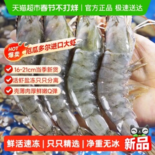 厄瓜多尔白虾鲜冻大虾活冻盐冻白虾海鲜海虾特大号进口白虾新鲜