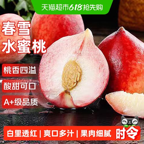 京运达春雪水蜜桃