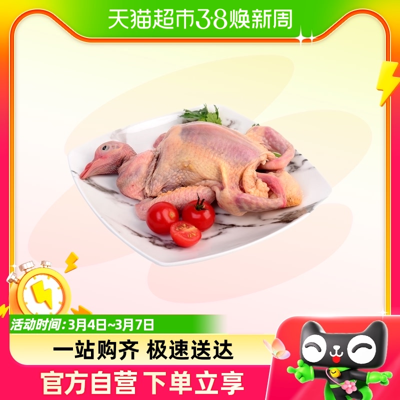 天天鲜鸽子250g/盒