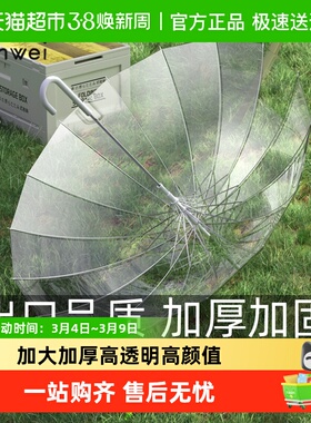 天玮16骨透明雨伞长柄伞大号双人女白色网红高颜值氛围感雨伞加大