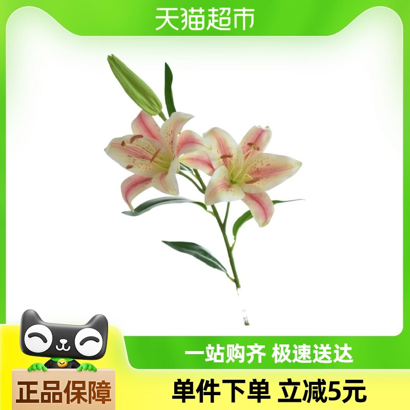 ���滨3ͷ�ָ���ˮ�ٺϼٻ�������滨�Ҿ�����װ�ΰڼ�������ֲ