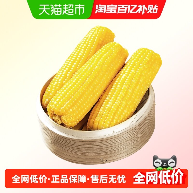 七稻町东北新鲜甜糯玉米黄糯玉米棒香甜玉米大棒代餐低脂整支