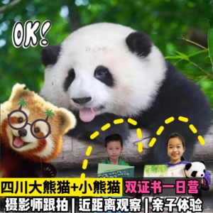 成都大熊猫义工+小熊猫训练研学颁发双证书1日营亲子研学