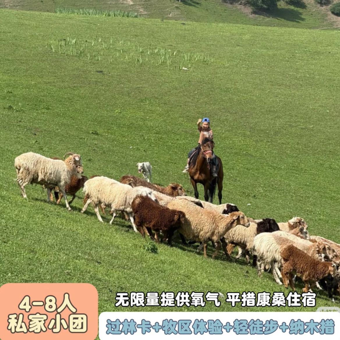 牧区体验轻徒步过林卡
