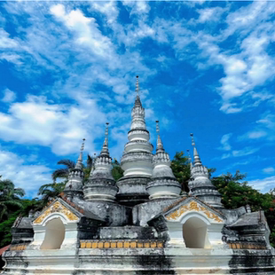 当日 大门票 身份证 曼听公园