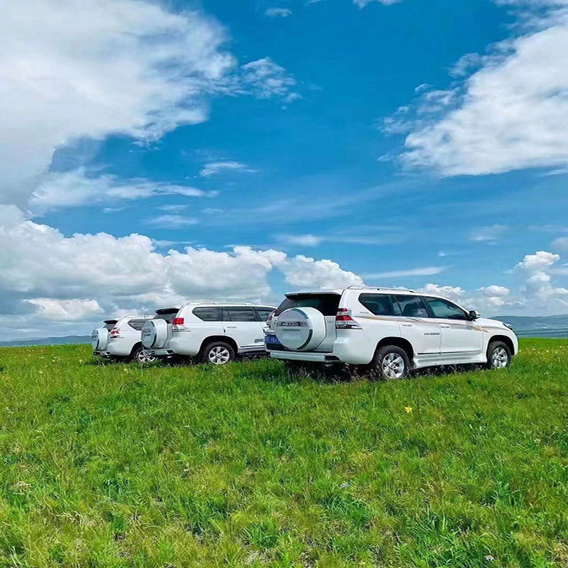 千米滑草+小火车+骑马+牧户体验+湿地/白桦林2选1宿草原蒙古包