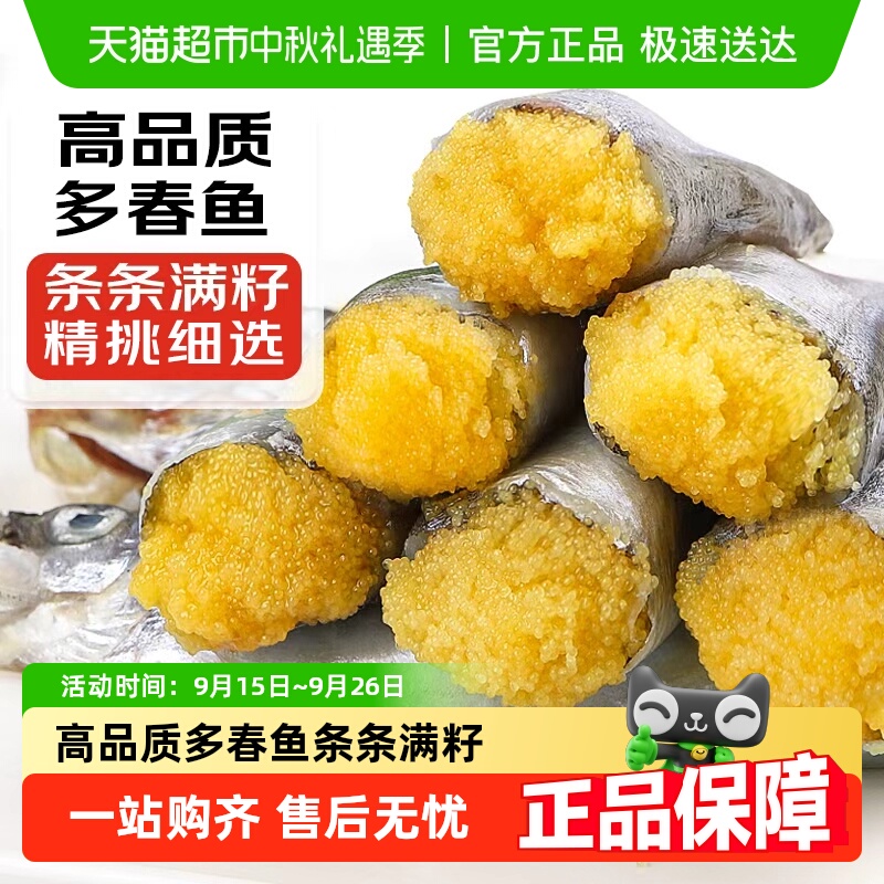 多春鱼新鲜商用特大冻干多籽鱼