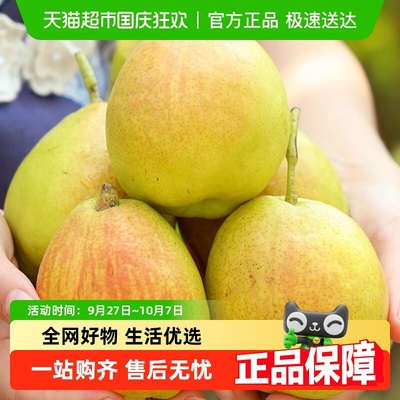 库尔勒香梨香梨全母梨