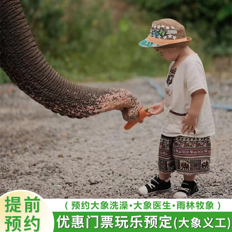 西双版纳野象谷/独家赠公益证书大象洗澡/雨林牧象 /大象医生/繁育中心救助课堂/保育员