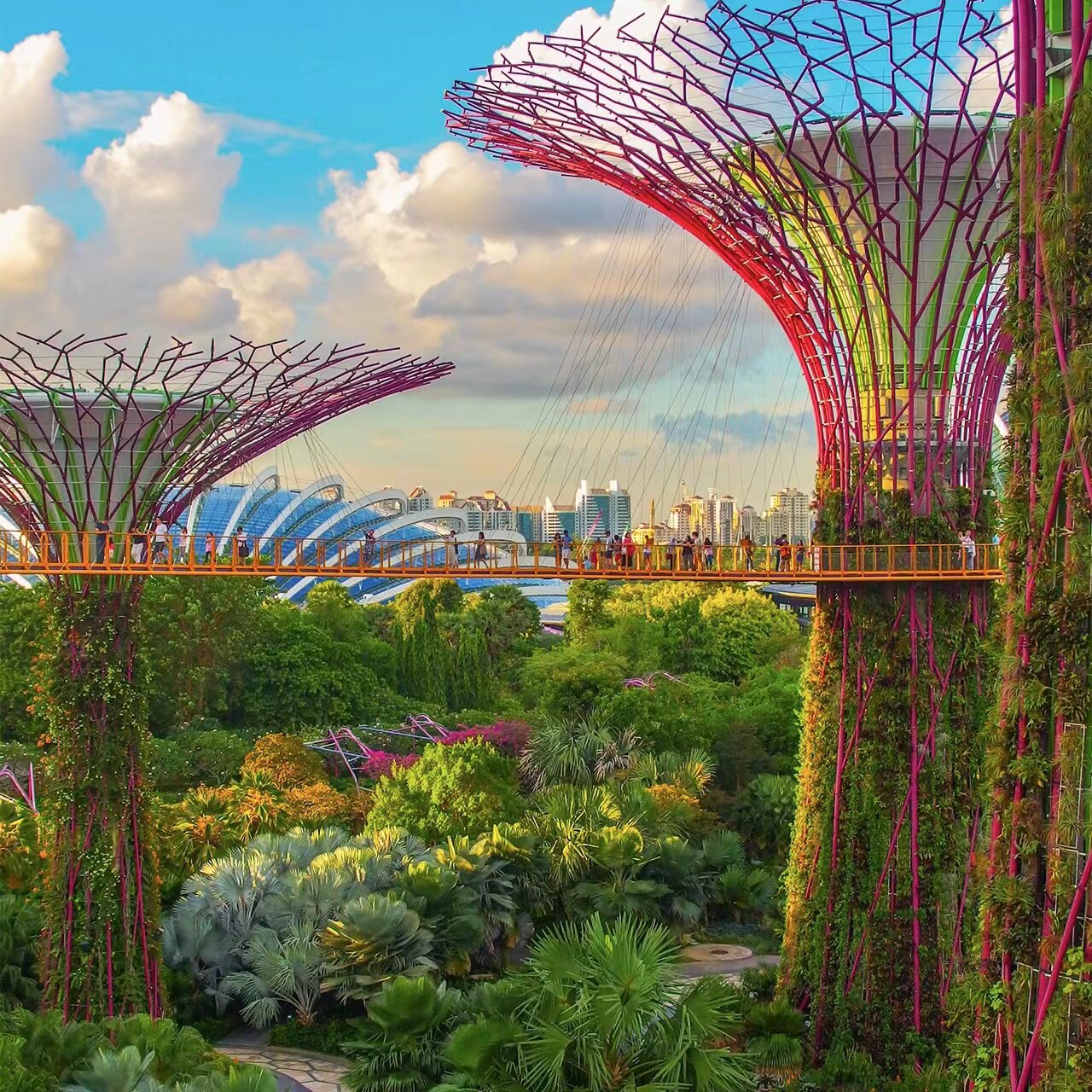 云雾森林(限非新加坡人)]新加坡滨海湾花园云雾林 花穹门票