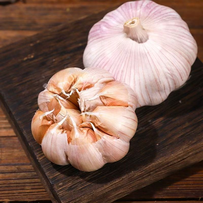 山东大蒜头金乡紫皮产地价2025年新鲜干紫皮大蒜