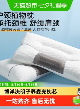 博洋决明子荞麦低枕枕芯