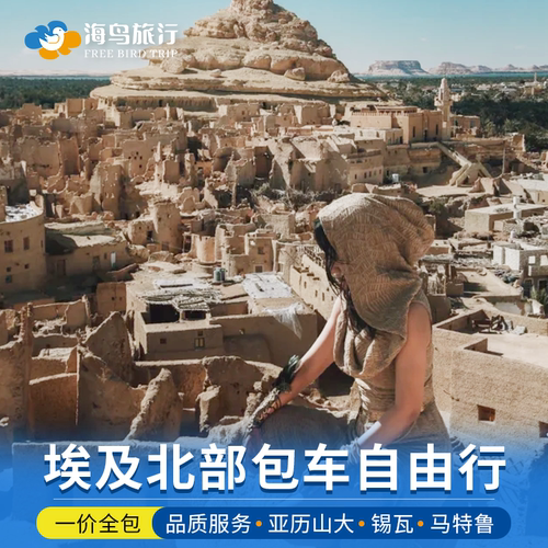 埃及北部包车马特鲁锡瓦亚历山大开罗往返包车锡瓦盐湖包车旅游