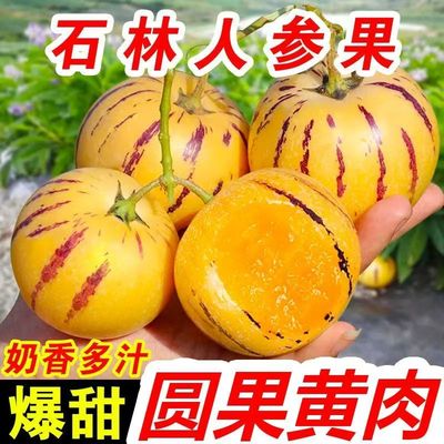 云南人参果水果大果黄肉新鲜石林人叁果树上熟人生果圆果礼盒