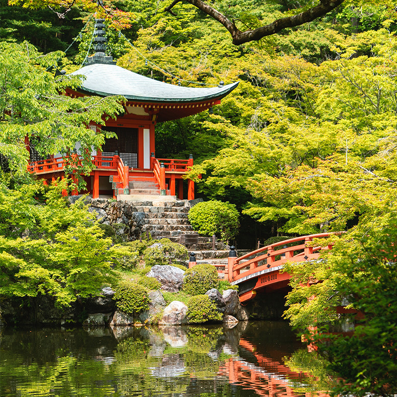东京+日光+鬼怒川7天6晚日本旅游私家团公务舱豪华酒店管家服务