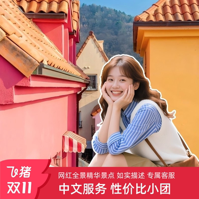 8人小团韩国首尔一日游景福宫青瓦台北村圣水洞首尔塔含门票纯玩