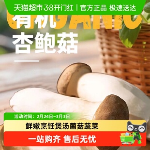 有机杏鲍菇 新鲜食用菌菌菇蔬菜蘑菇鲜嫩烹饪煲汤菌菇平菇蔬菜