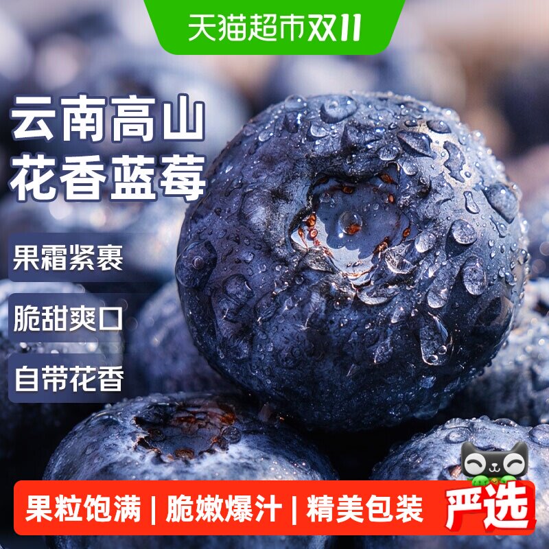 云南高山蓝莓应当季新鲜水果特大果礼盒整箱京运达怡佳颗沃