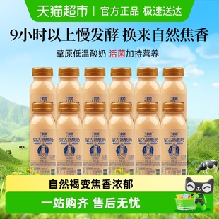 兰格格草原酸奶蒙古炭烧熟酸奶混合组合装 生鲜低温酸牛奶源头直发