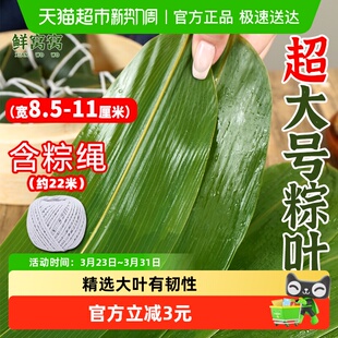 鲜窝窝超大号粽叶50片端午节农家箬竹叶新鲜粽子叶中秋节包粽子用
