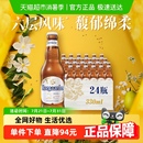 福佳白啤酒 Hoegaarden 比利时精酿小麦啤酒11.7°P整箱批发
