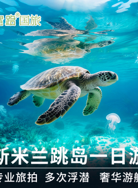 [咨询li减]普吉岛斯米兰出海一日游群岛浮潜深潜阿丽塔seastar泰