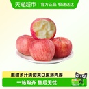山东富士 4.5斤单果80mm 脆甜多汁 苹果 烟台红富士