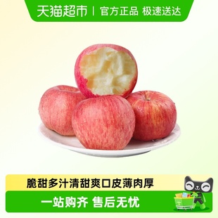 山东富士 4.5斤单果80mm 脆甜多汁 苹果 烟台红富士