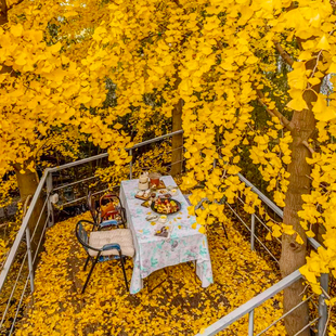 春节不加价1 2晚北京在之禾酒店旅游汤泉环球影城鸟巢水立方