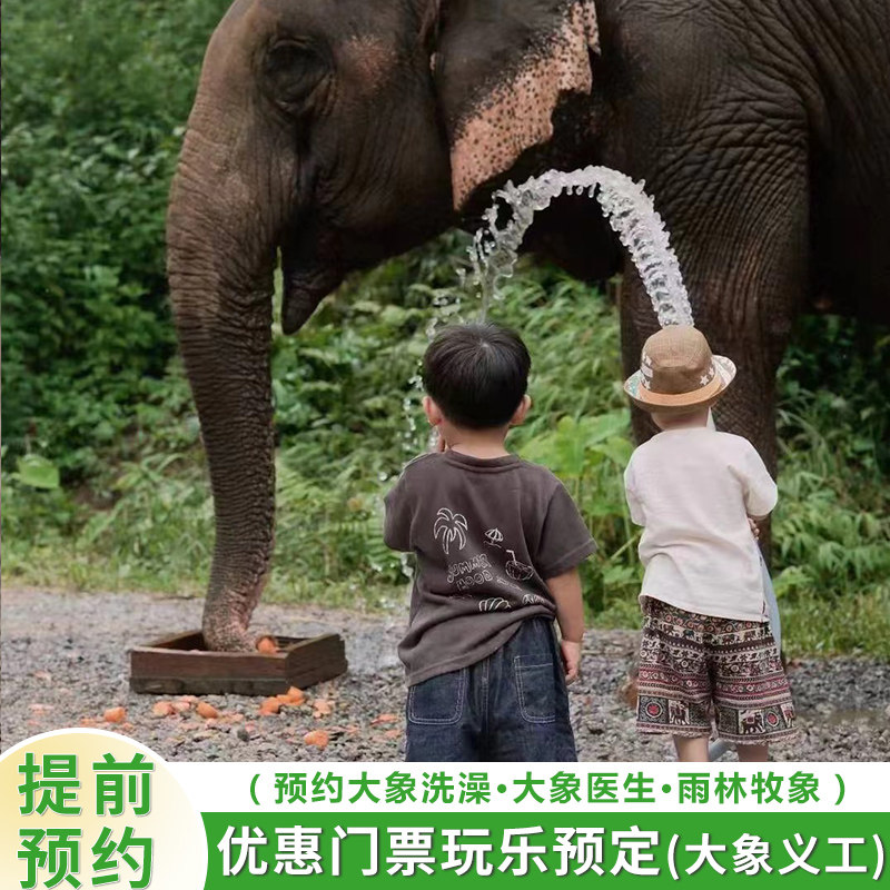 西双版纳野象谷 门票/大象洗澡/雨林牧象 /大象医生/繁育中心大象保育员等体验预约图片