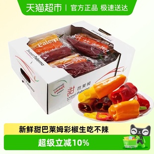 新鲜甜巴莱姆彩椒生吃不辣脆甜多汁当季 甜辣椒沙拉蔬菜